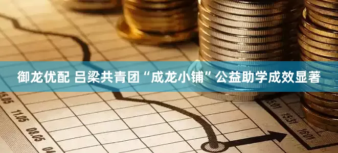 御龙优配 吕梁共青团“成龙小铺”公益助学成效显著