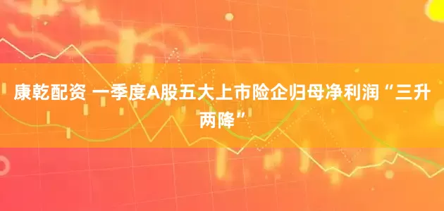 康乾配资 一季度A股五大上市险企归母净利润“三升两降”