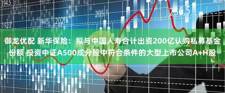 御龙优配 新华保险：拟与中国人寿合计出资200亿认购私募基金份额 投资中证A500成分股中符合条件的大型上市公司A+H股