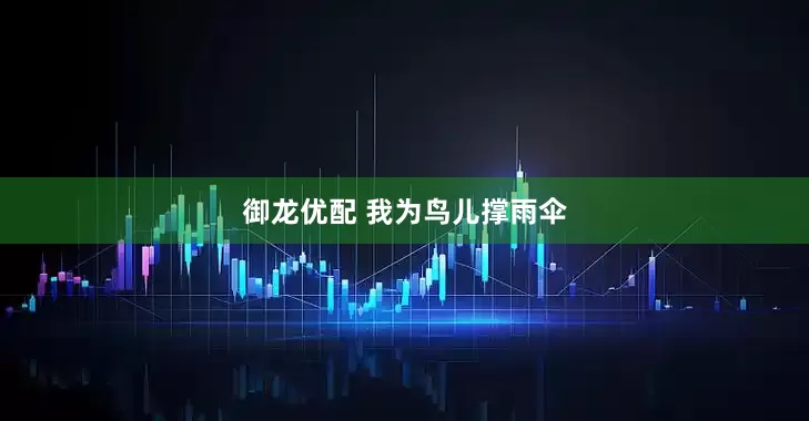 御龙优配 我为鸟儿撑雨伞