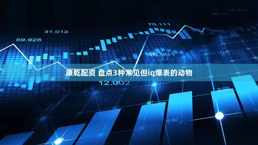康乾配资 盘点3种常见但iq爆表的动物
