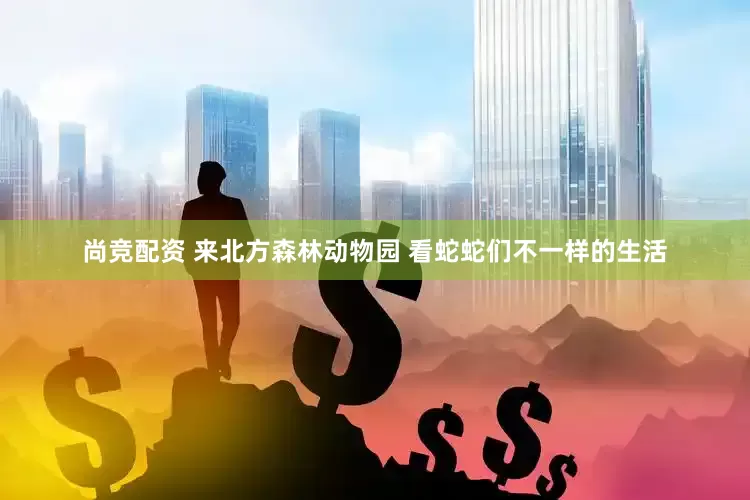 尚竞配资 来北方森林动物园 看蛇蛇们不一样的生活