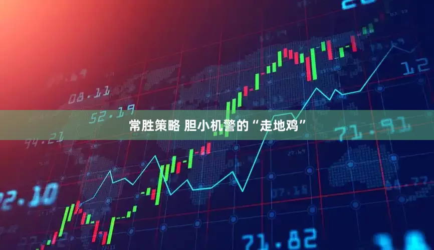 常胜策略 胆小机警的“走地鸡”