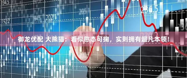 御龙优配 大熊猫：看似憨态可掬，实则拥有超凡本领！